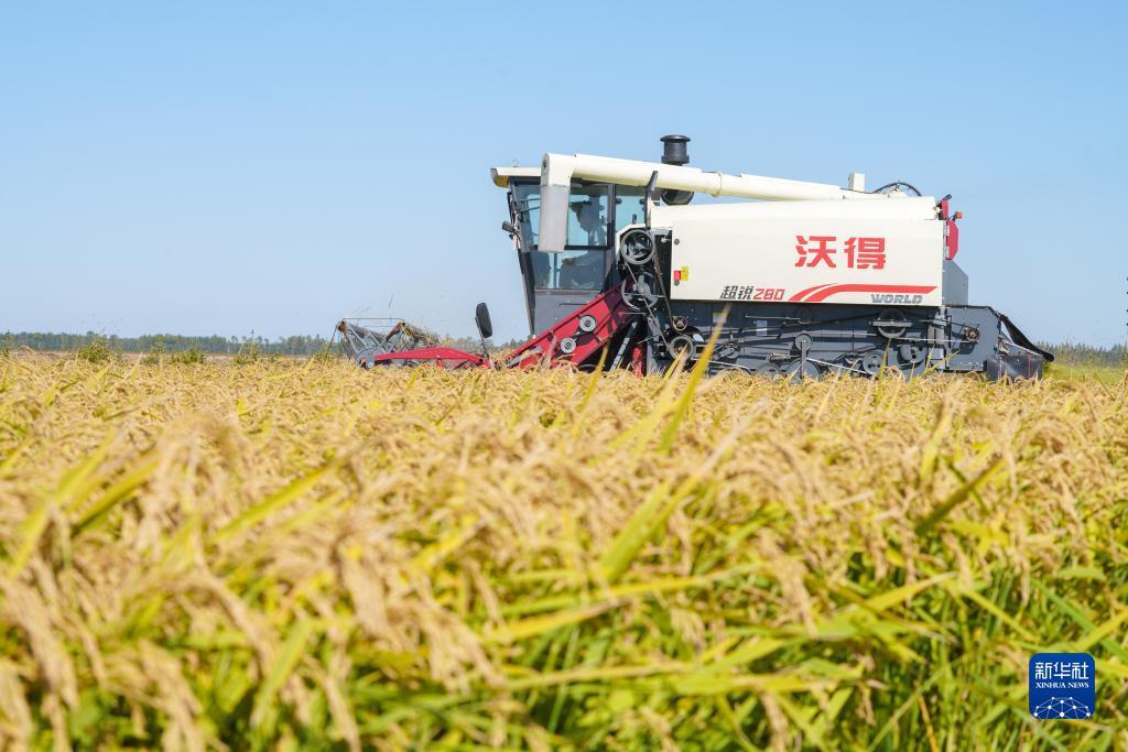 捕鱼游戏网络版